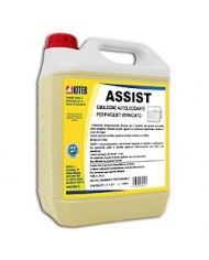 Assist 5lt