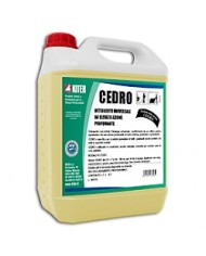 Cedro 5lt