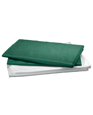 Lenzuola monouso verdi 120x230cm in cartoni da 100 pezzi