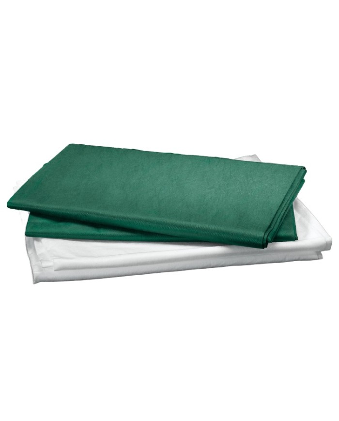 Lenzuola monouso verdi 120x230cm in cartoni da 100 pezzi