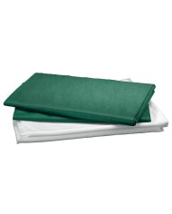Lenzuola monouso verdi 120x230cm in cartoni da 100 pezzi