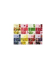 Maxiquaderno Fruit - A4 - 1 rigo - 42 fogli - 80 gr - Pigna (Min.Mul./10)