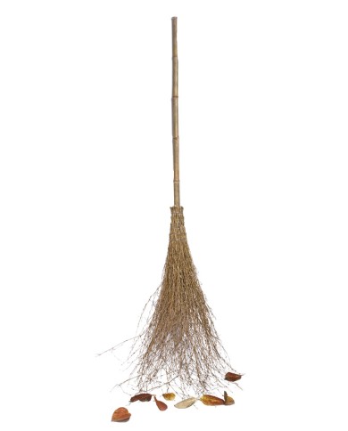 Scopa bambù 15 rami manico 120cm