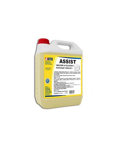 Assist 5lt