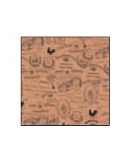 Carta antigrasso Vintage 20x32,5cm 500pz