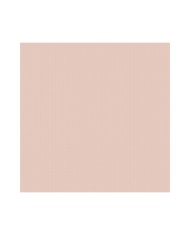 Tovaglia 100x100 Airlaid Shade Cappuccino 25pzx2