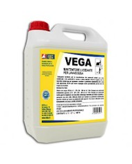 Vega 5lt
