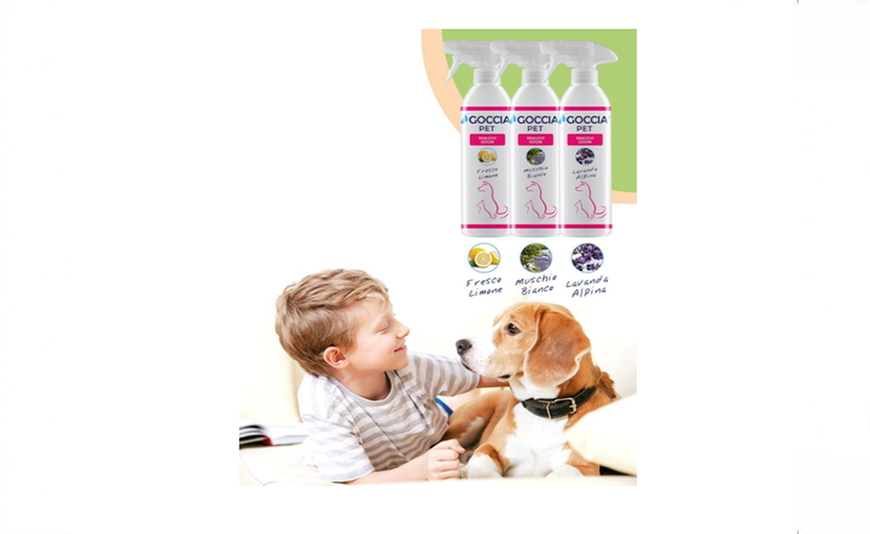 DEODORANTE RIMUOVI ODORI